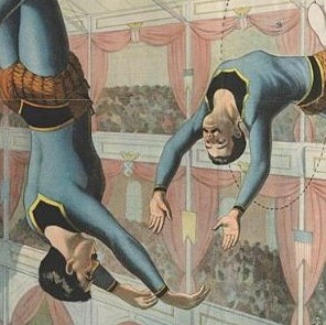 e6dacd9d-cfc0-2794-130c-d86734ebbf8b photo of a yellow aster