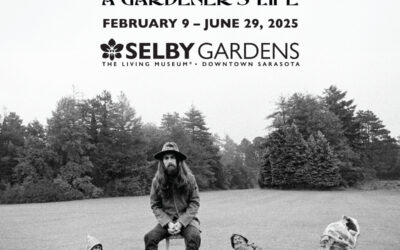 SELBY GARDENS ANNOUNCES 2025 JEAN & ALFRED GOLDSTEIN EXHIBITION