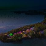 Sqaure LIB 2020 Purple and Blue Vase