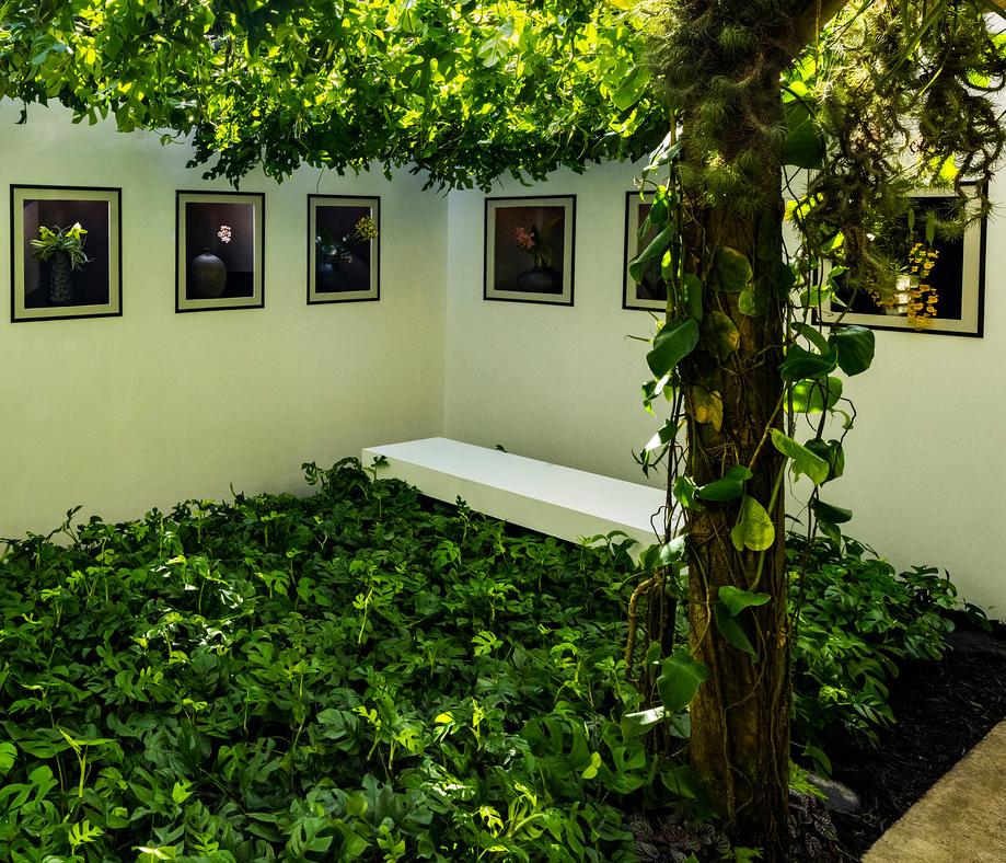 A. Gallery in Tropical Conservatory Seeing the Invisible Square Logo